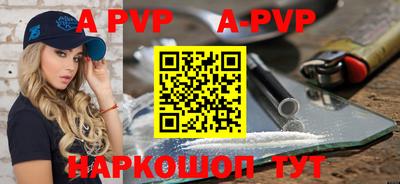 стаф Кингисепп