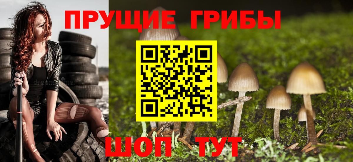 Псилоцибиновые грибы MAGIC MUSHROOMS Кстово